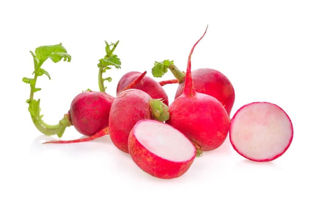 Radish Red Vegetable Seed for Planting Mixed heirloom & Non-GMO Seeds