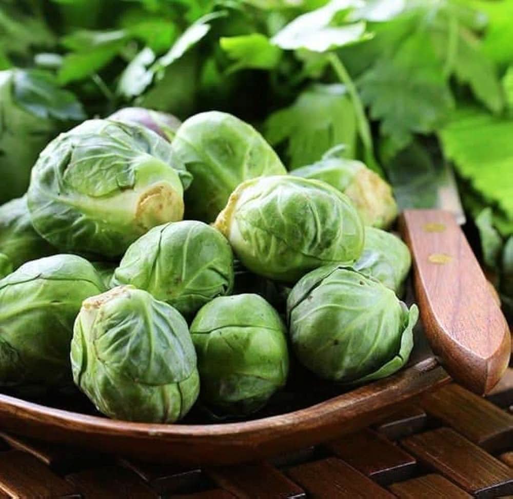 Mezzo Nano Brussels Sprout Brassica Oleracea Seeds