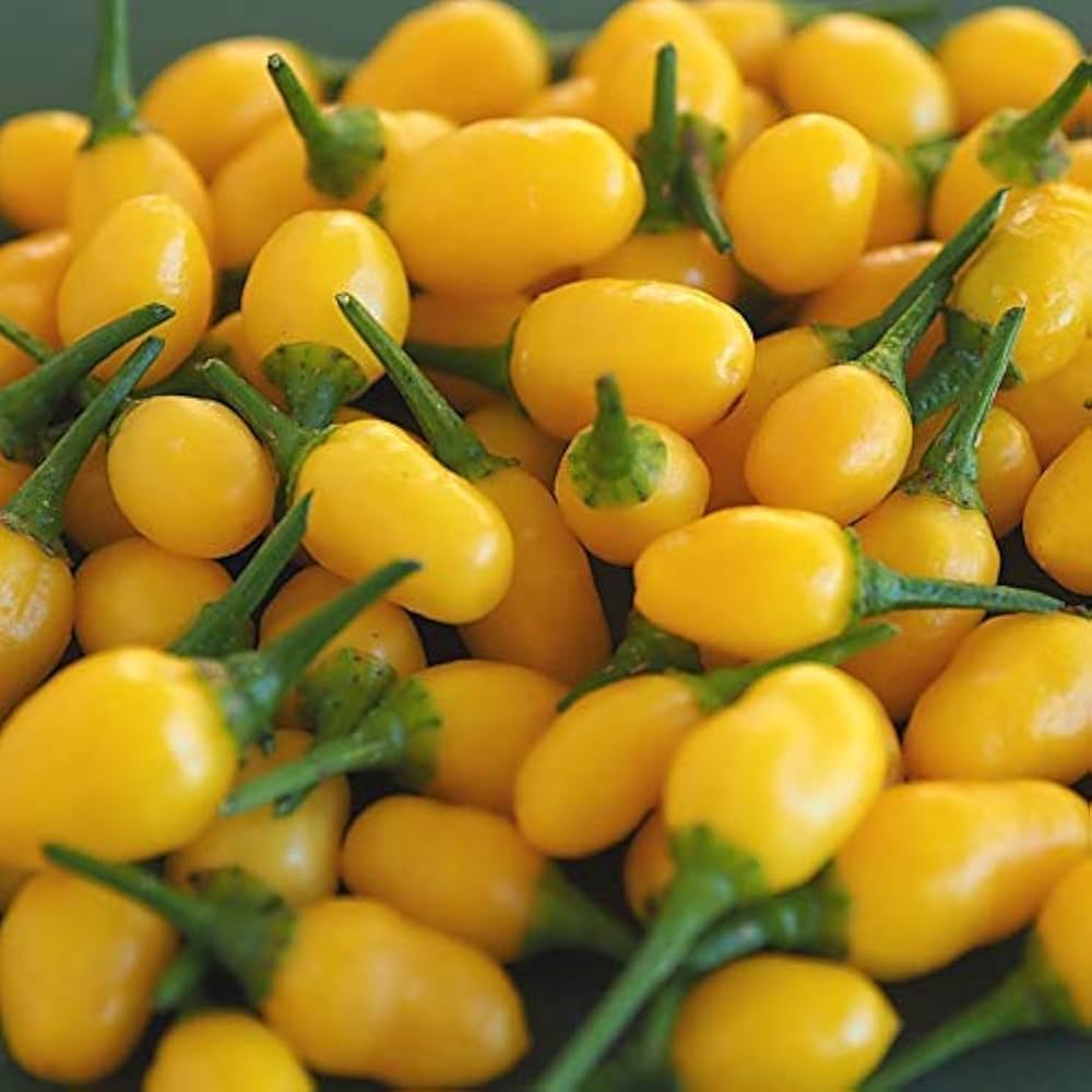 Golden Yellow Cayenne Pepper seeds for hot vegetable gardening