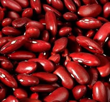 Dark Red Kidney Bean Seeds for Planting, heirloom & Non-GMO Seeds