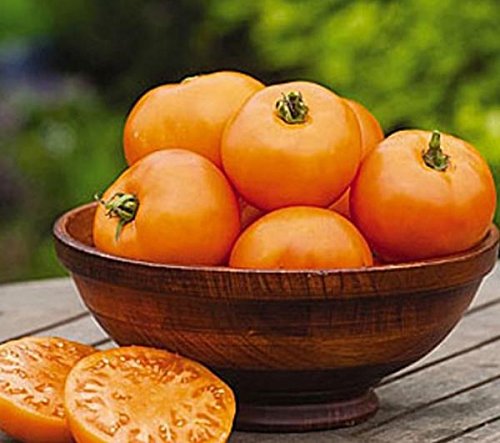 Tomato Oranzhevyy Giganten Solanum lycopersicum vegetable seeds for planting in backyard garden