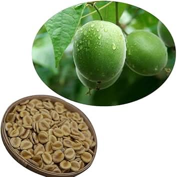 LuoHan Guo Fruit Seeds, Unique Sweetening Fruit with Medicinal Qualities