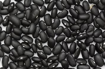 Black Bean Vegetable Seeds for Planting heirloom & Non-GMO Seeds