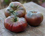 Heirloom Non-GMO Black Mauri Tomato Seeds