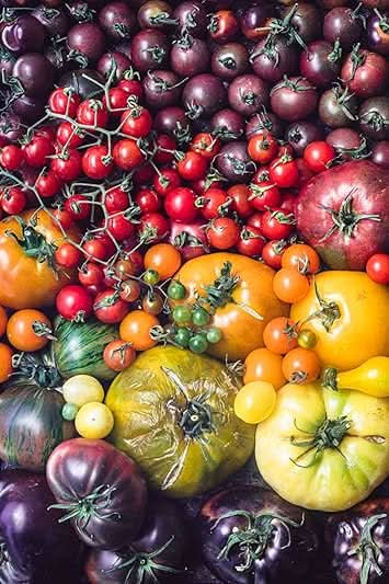 Multi-Color Tomato Seeds for Planting