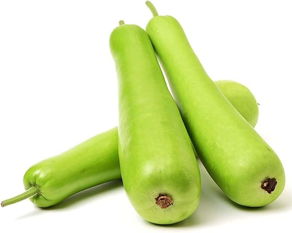 Bottle Gourd Lagenaria siceraria vegetable seeds for backyard gardening and kitchen garden