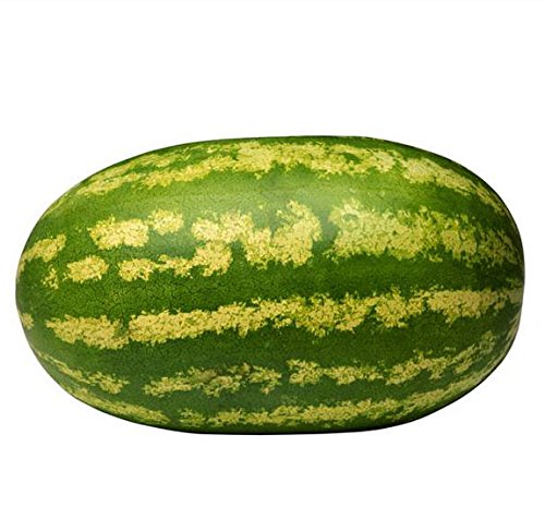 Giant Watermelon Neri Tiranno King Super Dolci Seeds