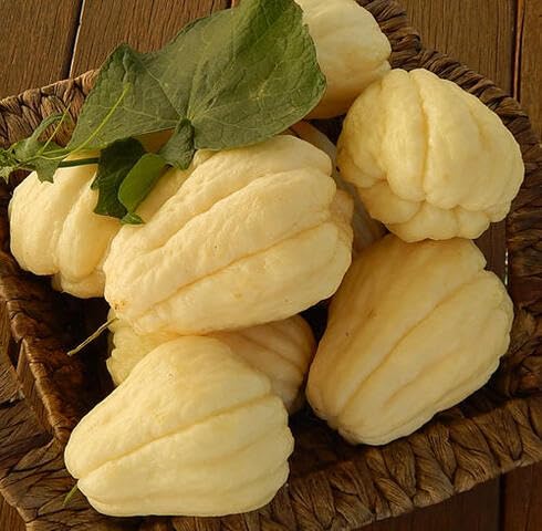 White Chayote - Heirloom, Non - Gmo Seeds
