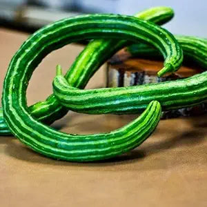Striped Armenian Cucumber Cucumis melo Vegetable Seeds for Planting in Garden