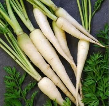 White Carrot Seeds for Planting