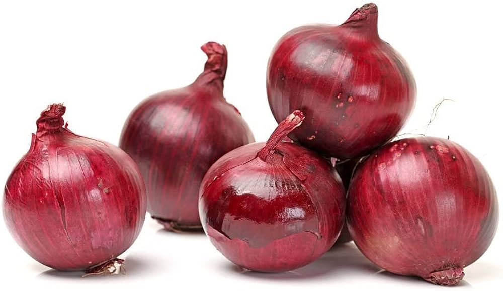 Red Onion Seeds Heirloom Non-GMO High Germination Organic Garden Seeds
