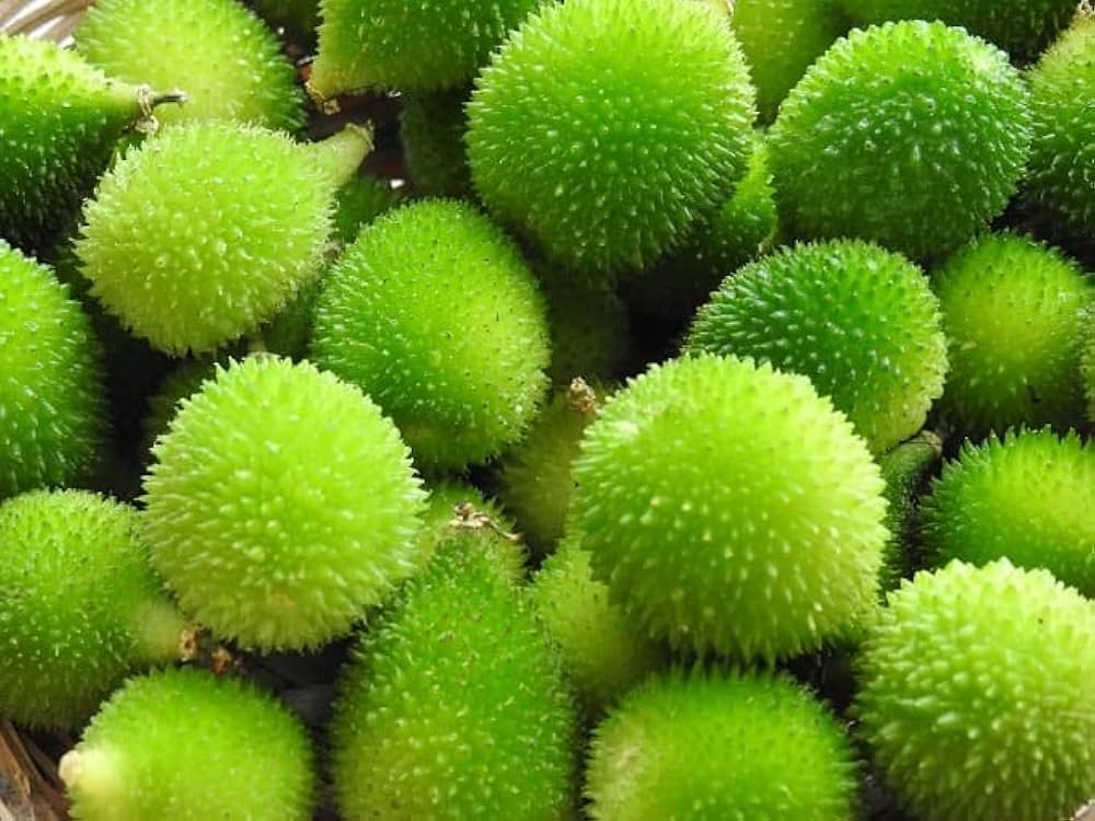 Assorted high-germination vegetable seeds for planting in kitchen gardens