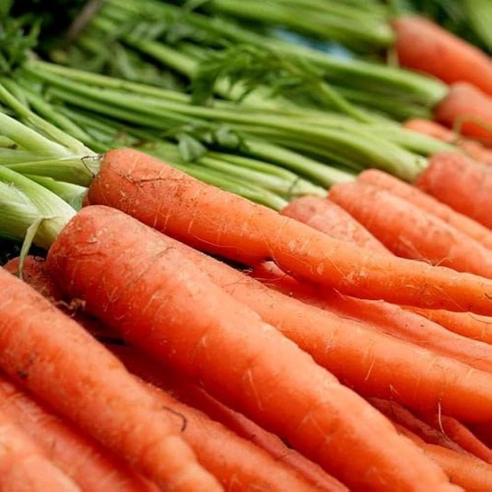 Scarlet Nantes Carrot Seeds
