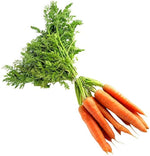 Carrot Daucus Carota Seeds for planting in raised bed