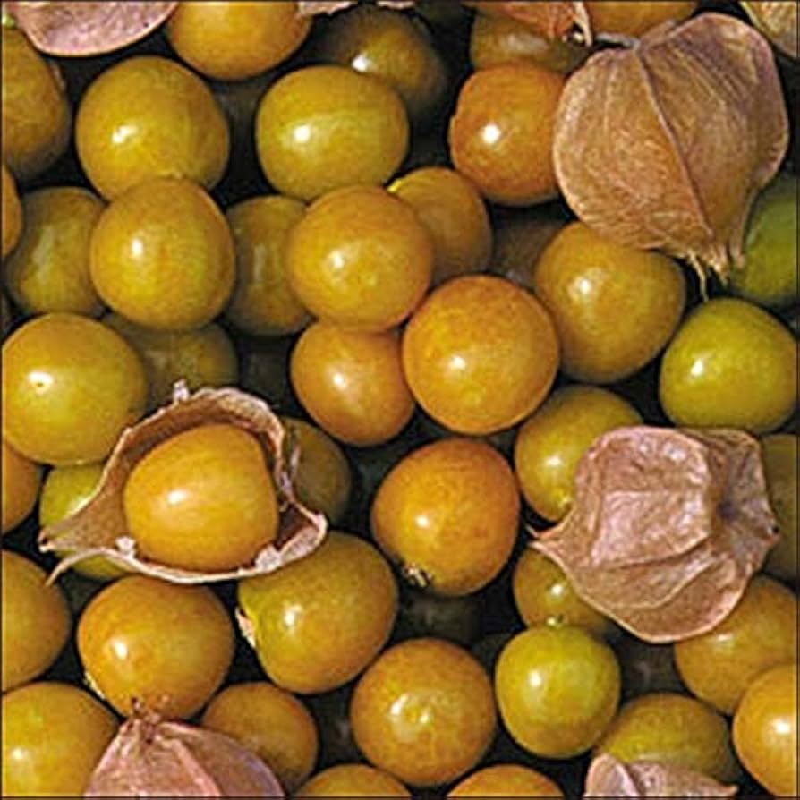 Pineapple Tomatillo Seeds for Rare Yellow Fruits, Eastern European Variety
