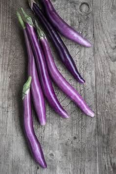 Aubergine Vegetable Seeds for Planting, heirloom & Non-GMO Seeds