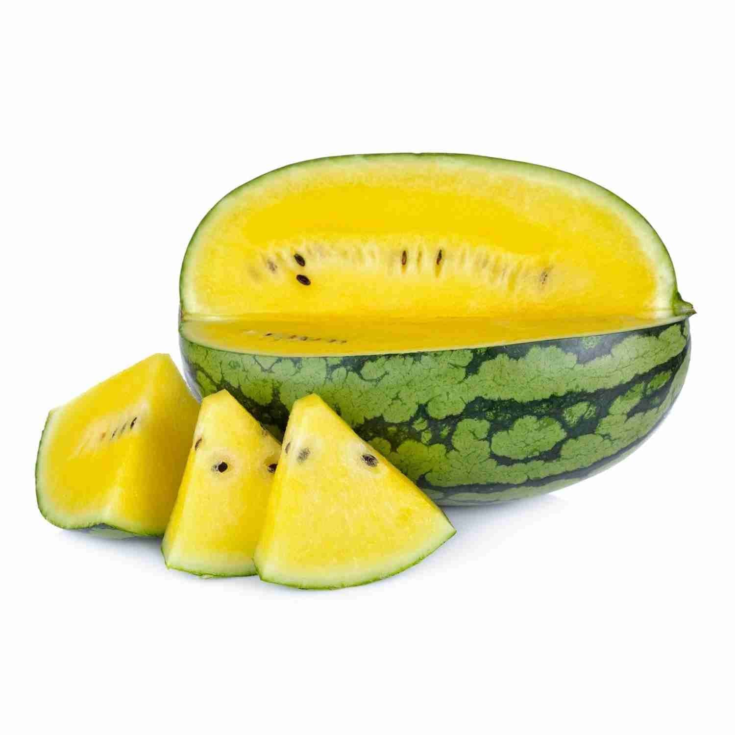 Yellow Watermelon (Citrullus lanatus / Common Name: Yellow Watermelon)