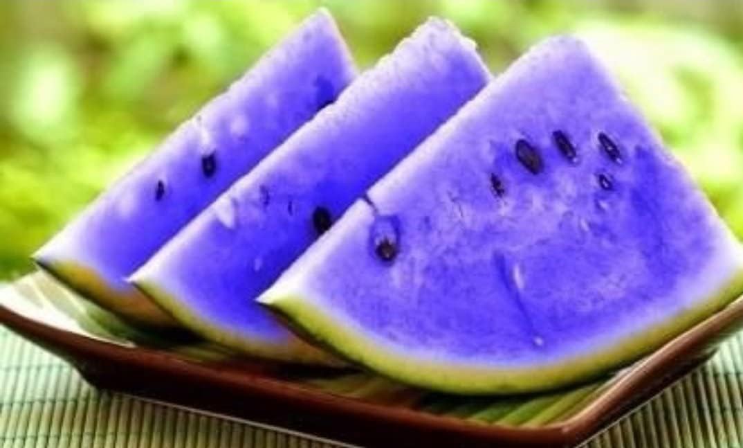 Watermelon Fruit Blue - Heirloom, Non - Gmo Seeds