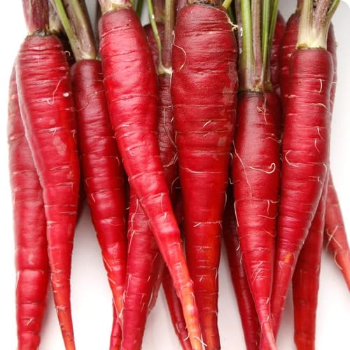 Red Carrot - Heirloom, Non - Gmo Seeds