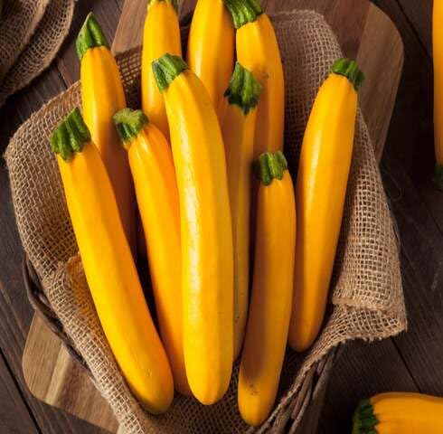 Yellow Zucchini - Heirloom, Non - Gmo Seeds