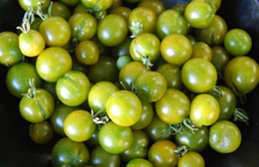 Heirloom Non-GMO Green Grape Tomato Seeds