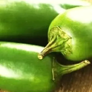 Pepper Capsicum annuum Jalapeño vegetable seeds for planting in home garden or patio containers