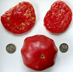 Red Tomato Heirloom Non Gmo Image
