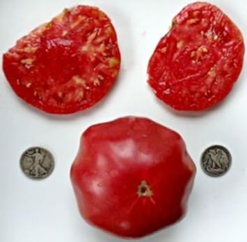 Red Tomato Heirloom Non Gmo Image