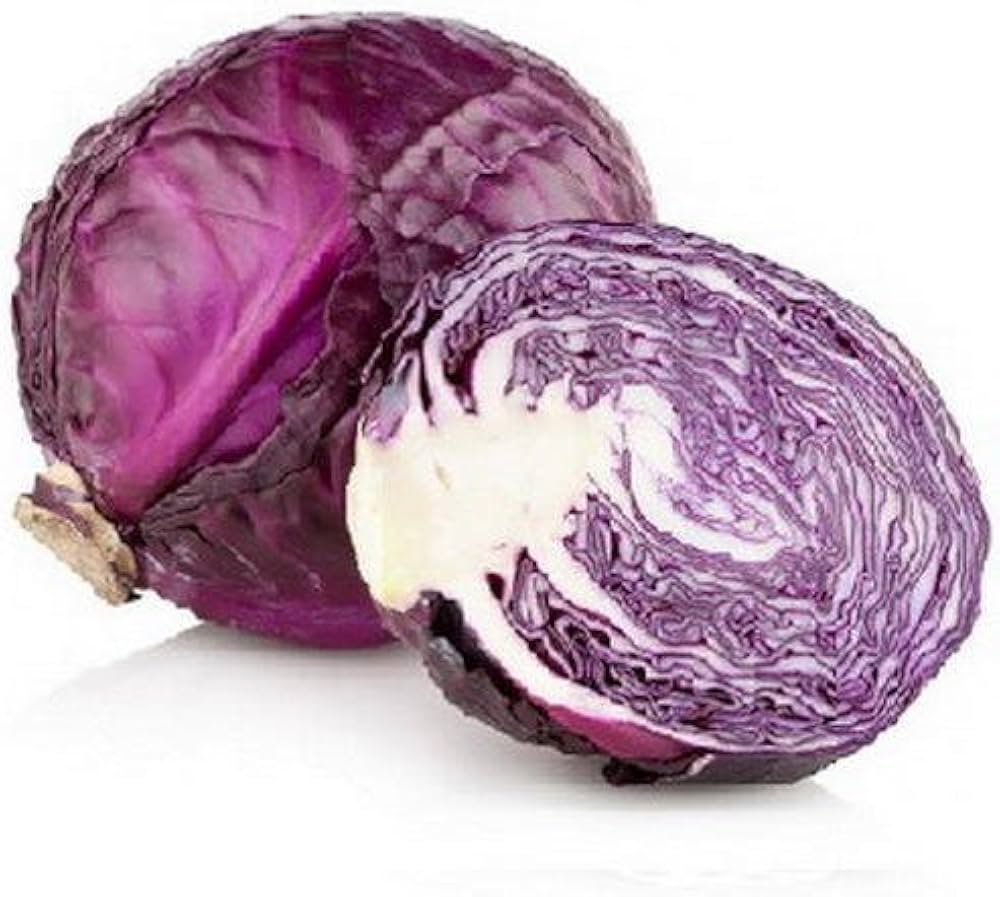 Premium Purple Cabbage For Early Vigorous Growth – Heirloom, Non-GMO, High Germination Organic Garden Seeds