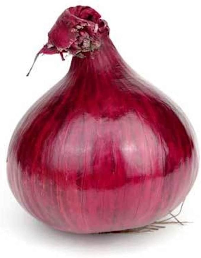  medium-sized deep red Red Grano onions with smooth skins


