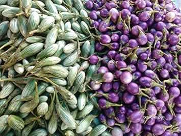 Purple Green Eggplant Seeds for Planting
