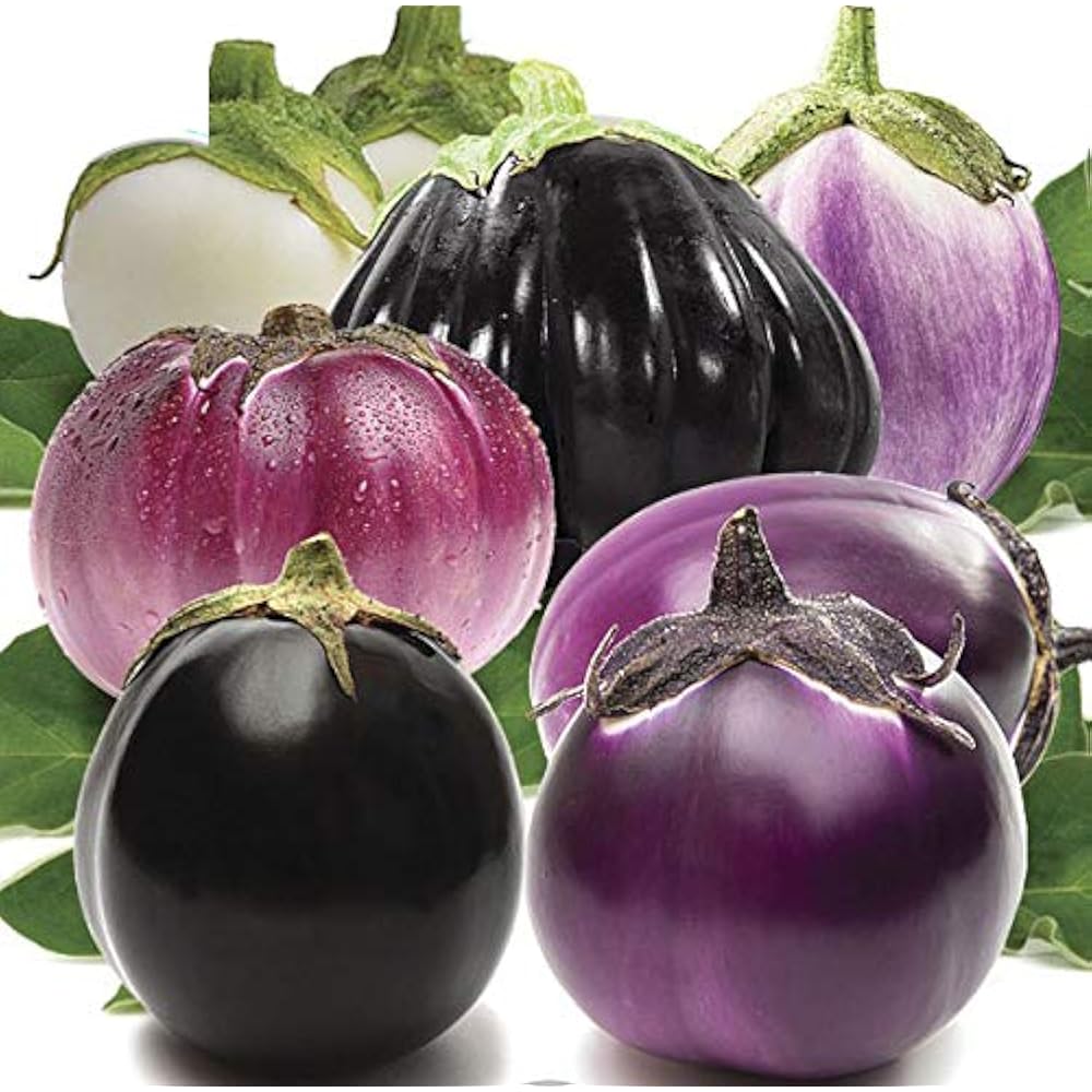 Mixed Eggplant Seeds for Planting
