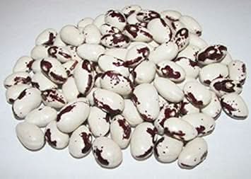 Black White Bean Seeds for Planting - heirloom & Non-GMO Seeds