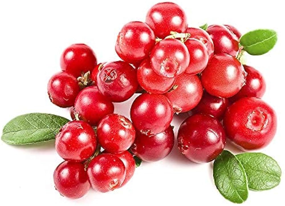 Berg Cranberry Herb Seeds Pieces for Planting