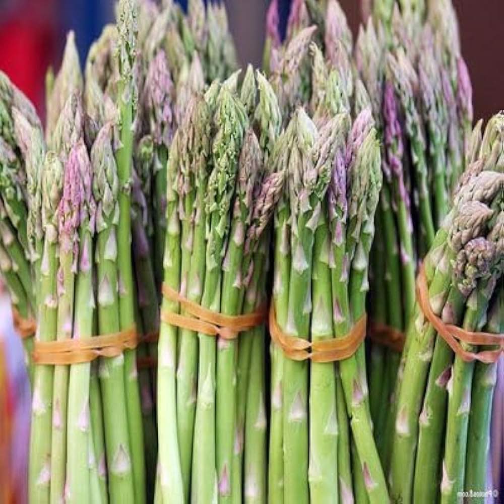 Asparagus Vegetable Plant Seeds