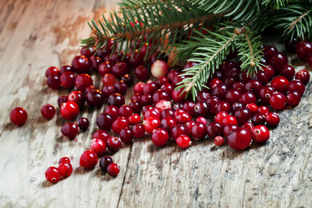 Craisin (Cranberry) (Vaccinium macrocarpon)