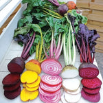 Rainbow Mix Beet Seeds Multi-Color Beet Blend High Germination Garden Seeds heirloom non-gmo seeds