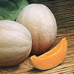 Aphrodite Hybrid Cantaloupe Seeds Large Aromatic Deep-Orange Melons High Germination Garden Seeds heirloom non-gmo seeds