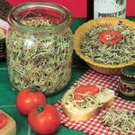 Old Mexico Salad Microgreens Seeds High Germination Garden Seeds heirloom non-gmo seeds