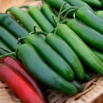 Pathfinder Serrano Pepper Seeds Productive Spicy Serrano Peppers High Germination Garden Seeds heirloom non-gmo seeds