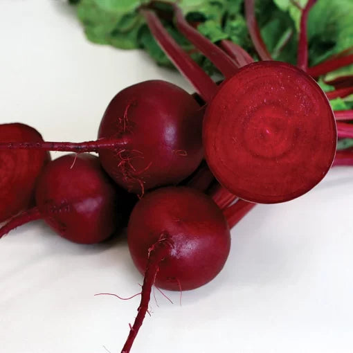 Robin Beet Seeds High Germination Garden Seeds heirloom non-gmo seeds