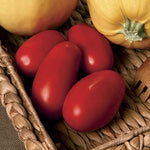 Supremo Hybrid Tomato Seeds Early Red Roma-Style Paste Tomatoes High Germination Garden Seeds heirloom non-gmo seeds