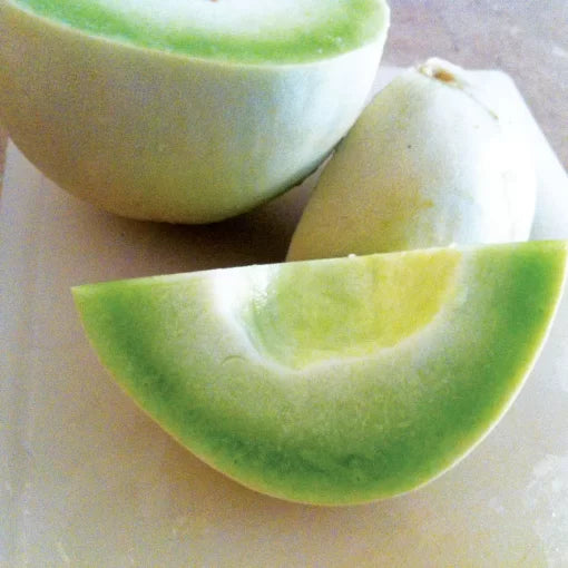 Dulce Nectar Honeydew Melon Seeds High Germination Garden Seeds heirloom non-gmo seeds
