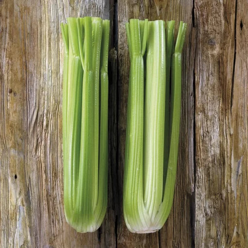 Victoria Celery Seeds Tall Crisp Light-Green Celery Stalks High Germination Garden Seeds heirloom non-gmo seeds
