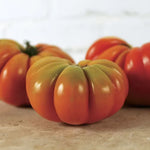 Genuwine Tomato Seeds High Germination Garden Seeds heirloom non-gmo seeds