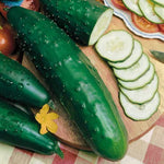 Park s Select Slicer Hybrid Cucumber Seeds Smooth Straight Crisp Slicing Cucumbers High Germination Garden Seeds heirloom non-gmo seeds