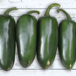 Emerald Fire Hybrid Pepper Seeds Thick-Walled Mild Jalapeño Peppers High Germination Garden Seeds heirloom non-gmo seeds