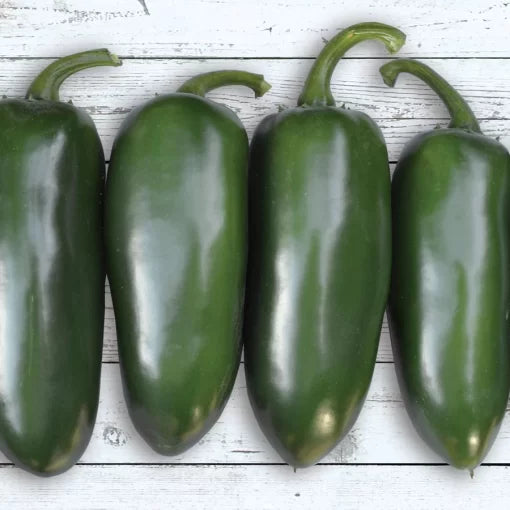 Emerald Fire Hybrid Pepper Seeds Thick-Walled Mild Jalapeño Peppers High Germination Garden Seeds heirloom non-gmo seeds