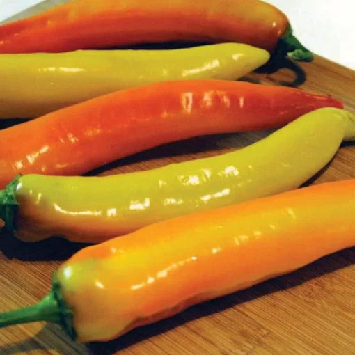 Hot Sunset Hybrid Pepper Seeds Long Sweet-to-Hot Multi-Use Peppers High Germination Garden Seeds heirloom non-gmo seeds