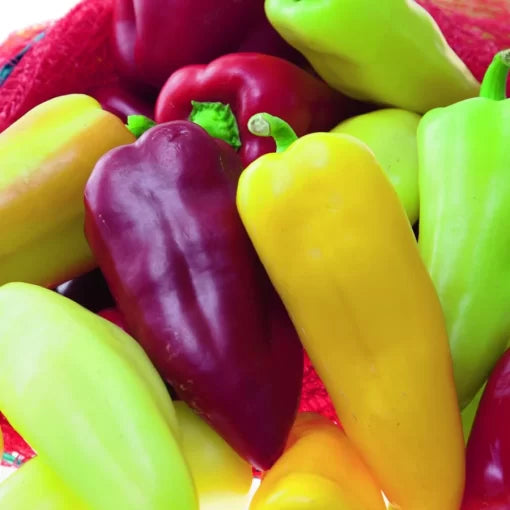 Pretty Sweet Ornamental Pepper Seeds High Germination Garden Seeds heirloom non-gmo seeds
